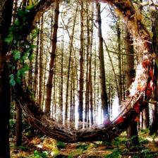 forest.portal.artist.unknown